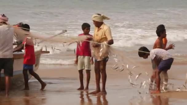 Männer Und Jungen Ziehen Fischernetze Aus Dem Boot Ufer — Stockvideo