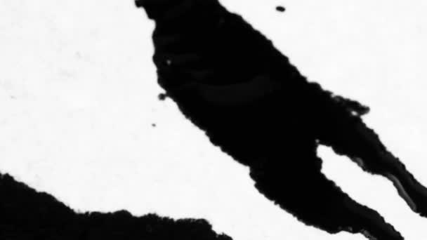 Μελάνι Ανθίζει Όμορφη Μαύρη Υδατογραφία Μελάνι Σταγόνες Μετάβαση — Αρχείο Βίντεο