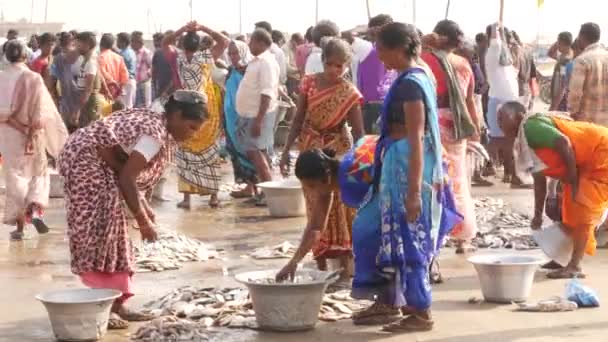 包装大量鱼类的妇女和背景下讨价还价的人 印度美联社Chirala鱼市场 2022年12月 — 图库视频影像