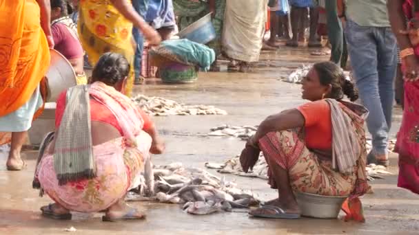 在地面上对小型鱼类进行分类的妇女背景不同地躺在地面上 美联社 Chirala鱼市场 2022年12月 — 图库视频影像