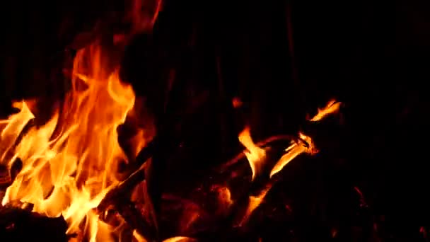 Feuer Brennende Orangefarbene Flamme Erzeugte Ausbreitung Dunkeln Bleiben — Stockvideo