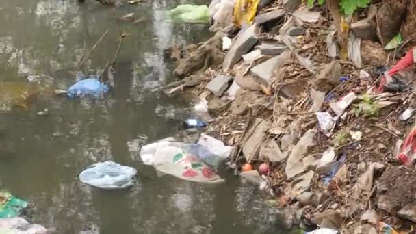Σκουπίδια Κοντά Ένα Ποτάμι Λίγη Βρωμιά Στο Ποτάμι — Αρχείο Βίντεο