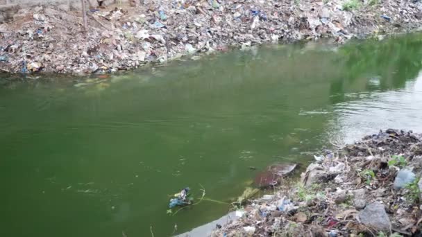Řeka Která Znečištěna Různými Odpadky Smetí — Stock video