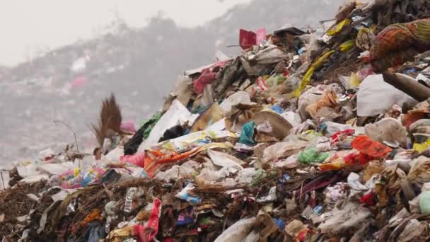 Çöp Öğütme Alanı Esinti Etkisi Beyaz Harmattan Arkaplan — Stok video
