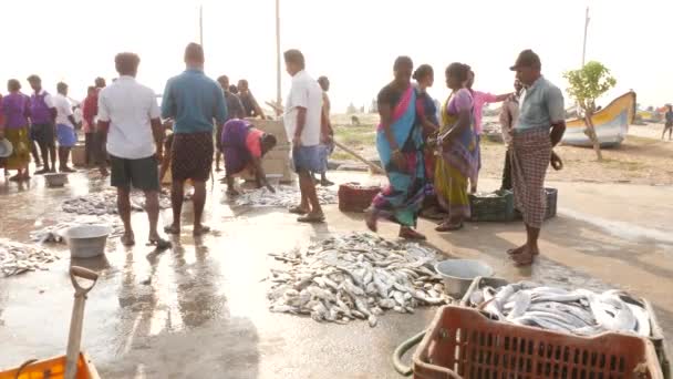 Verschiedene Fischarten Boden Und Korb Meeresufer Chirala Fish Market Indien — Stockvideo