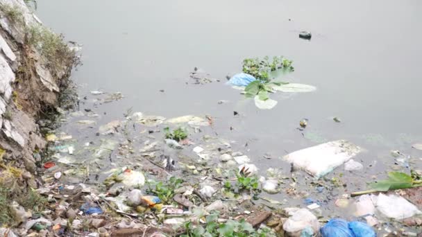 大量的垃圾污染了我们的水域 — 图库视频影像