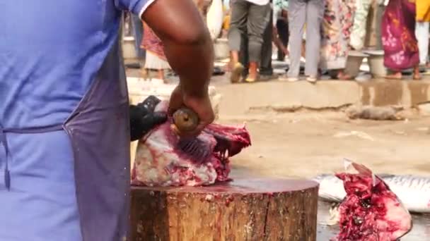 Человек Использующий Саблю Потрошить Большую Свежую Рыбу — стоковое видео