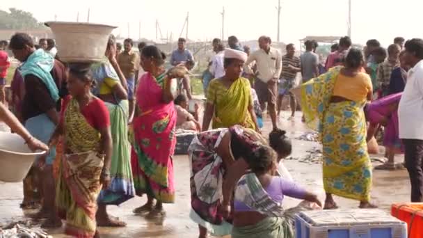 Люди Гуляют Разговаривают Рынке Две Женщины Пакуют Рыбу Рыбный Рынок — стоковое видео