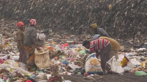 Ludzie Używający Zakrzywionego Kija Szukania Rzeczy Worku Śmieci — Wideo stockowe