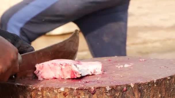 Чоловік Який Вибирає Нарізану Рибу Нарізає Тканини Упаковує Дошки — стокове відео