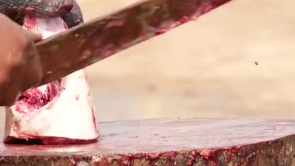 Człowiek Odcinający Mięso Ryby Głównej Głowy Desce — Wideo stockowe