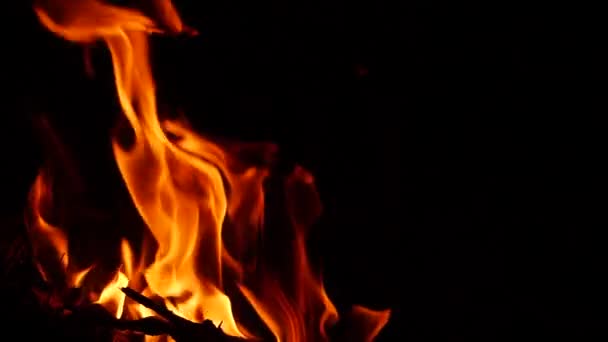 Donkere Achtergrond Vuur Branden Sommige Stokken Grond — Stockvideo