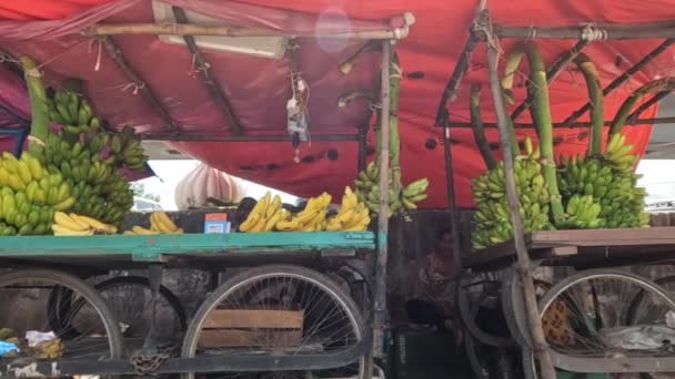 ターパリン グリーン イエローのバナナのお店が並ぶバナナのお店 — ストック動画
