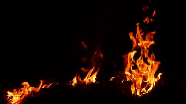 Oheň Hoří Vysoko Kruzích Oranžový Plamen Efekt — Stock video