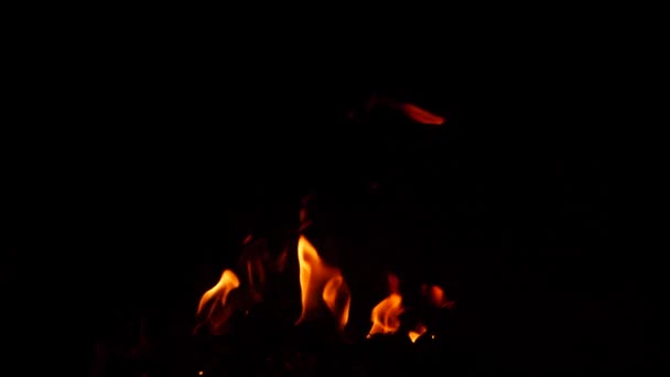 Fuego Ardiendo Humildemente Oscuridad Efecto Llama Amarilla — Vídeos de Stock