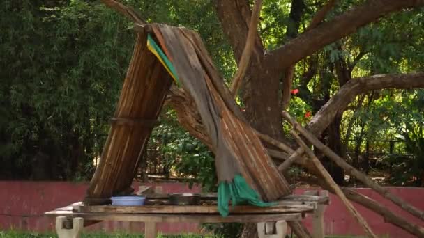 庭の木の避難所 緑の切り株の木の家 — ストック動画
