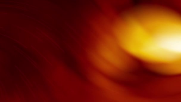 黑暗中的一朵红花 黄色的红色背景 黄色的花 — 图库视频影像