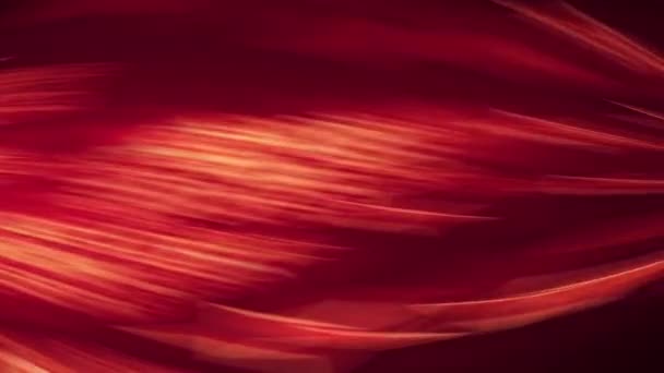 Kırmızı Altın Renkli Arka Planlar Bulanık Efektler Soyut Işıklar Turuncu — Stok video
