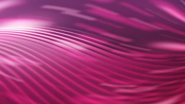 紫色の波はライト パターンと設計されています — ストック動画