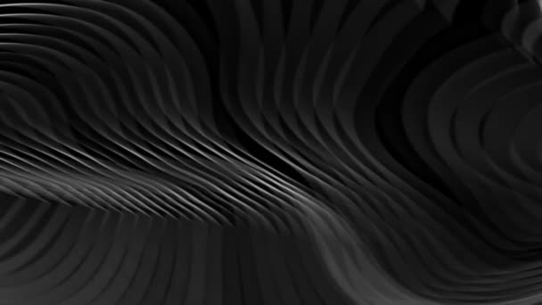 Черно Белый Фон Изогнутыми Волнистыми Узорами Линиями Включая Фотографию Изогнутой — стоковое видео