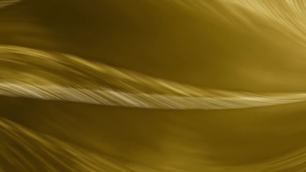 带有波浪形图案的金黄色抽象背景 带波浪形图案的金色和黑色背景 — 图库视频影像