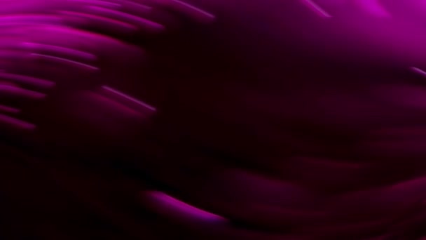 紫色の抽象的な壁紙 ぼやけ 紫色のリボンパターン — ストック動画