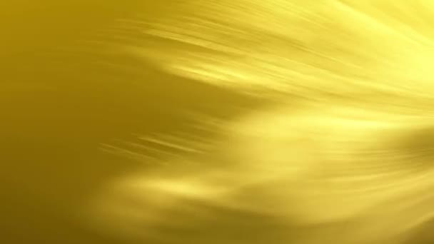 Различные Золотые Фоны Блестящими Металлическими Волнистыми Текстурированными Узорами — стоковое видео