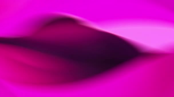 Pink Background Swirls Purple Pink Creating Abstract Beautiful Design — Stock Video