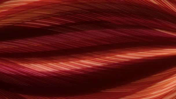 Rood Geel Lichtpatroon Met Lijnen Abstracte Achtergronden Rood Oranje Zwart — Stockvideo