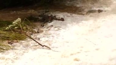 Bir nehir, içinde devrilmiş bir ağaç olan kayaların üzerinden akar. Yüksek su, düşen kayalar.