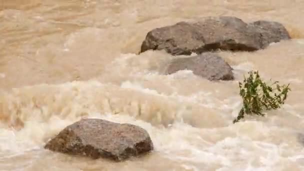 Eau Coule Sur Les Rochers Dans Une Rivière Fond Des — Video