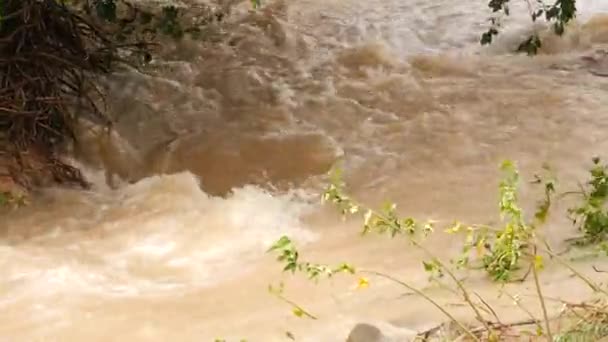 Річка Тече Водою Гілкою Дерева Задньому Плані — стокове відео