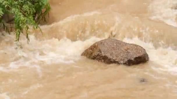 Ένας Βράχος Στο Νερό Ορμητικός Ποταμός Στη Μέση Ενός Ποταμού — Αρχείο Βίντεο