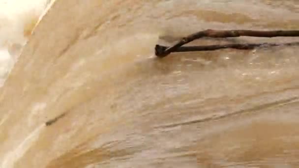 滝から突き出た小さな枝 クローズアップビュー — ストック動画