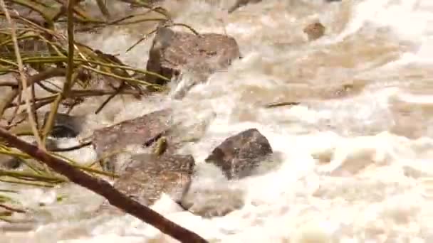 Rio Com Rochas Água Fluindo Sobre Ele Água Correndo Sobre — Vídeo de Stock