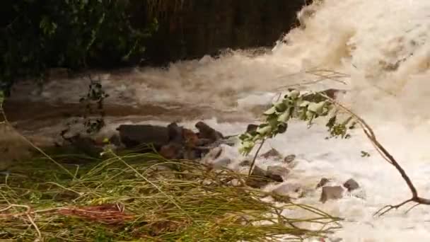 森林河流的岩石上水流得很快 周围都是岩石和树木 — 图库视频影像