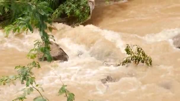 Rzeka Przepływa Przez Las Górach Woda Przepływa Przez Skały — Wideo stockowe