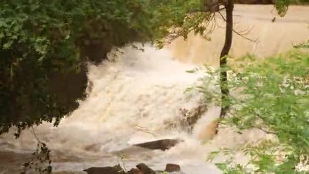Ein Riesiges Gewässer Mit Baumkulisse Und Einem Großen Wasserfall Inmitten — Stockvideo