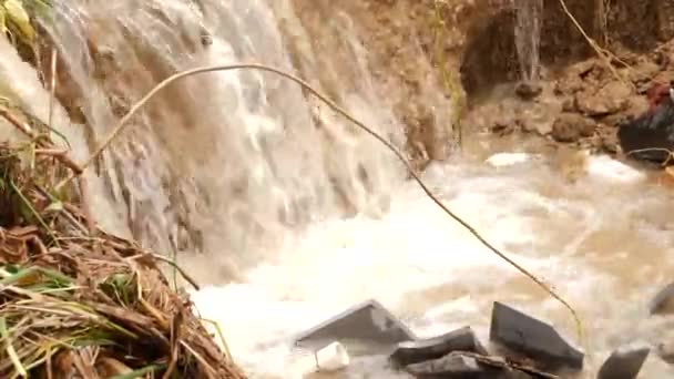 水从一个小瀑布中流过 从森林里的一条溪流而下 — 图库视频影像
