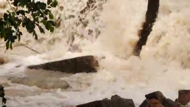 在森林里可以看到瀑布 — 图库视频影像