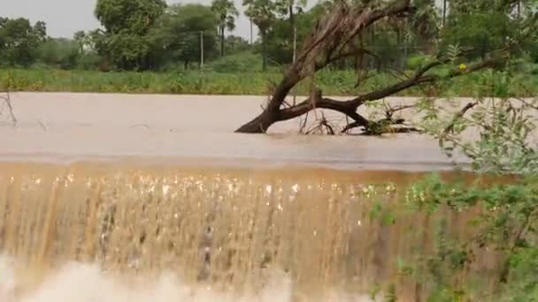 Voda Teče Přes Malý Vodopád Zatopeném Poli — Stock video