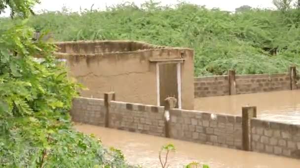 Det Finns Ett Översvämmat Hus Gujarat Staten Samt Översvämmad Pakistan — Stockvideo