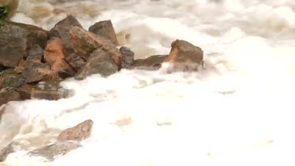 Água Espumosa Rochas São Muito Altas Pedras Rio Fundo Desfiladeiro — Vídeo de Stock