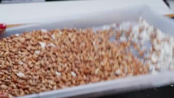全小麦の種子が覆われている水とプラスチック容器でいっぱいのナッツのビン — ストック動画