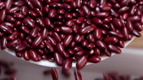 赤い豆は白い皿の上に置かれ またボウルに 閉じたイメージで示されています — ストック動画