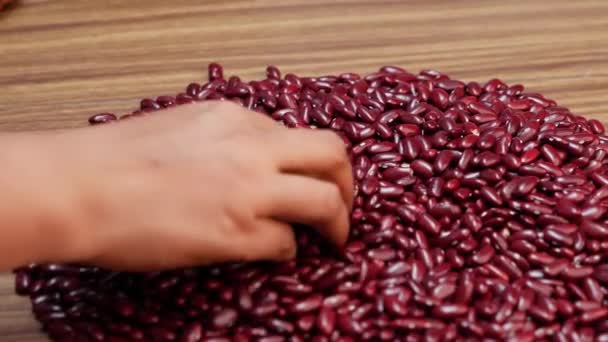 Κόκκινα Φασόλια Είναι Υγιεινά Για Την Ψυχή Όπως Ένα Χέρι — Αρχείο Βίντεο