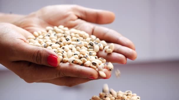 一个女人的手拿着白豆和黑豆 另一只手拿着一堆豆子 — 图库视频影像