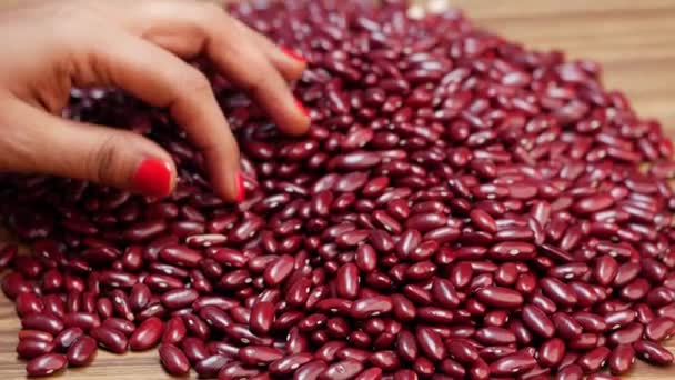 Woman Picking Red Bean Pile Wooden Table Staple Food — Stock Video