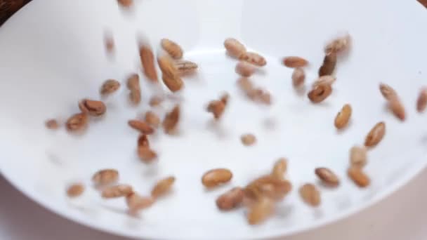 一碗烤花生和豆子 一种常见的咖啡豆主食 手旋着 — 图库视频影像