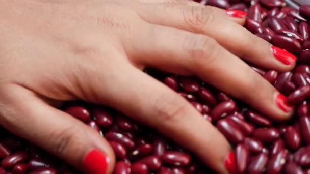 Рука Женщины Поднимает Красную Фасоль Крупный План Кучи — стоковое видео